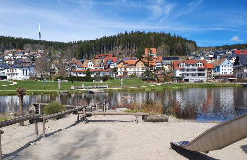Haus Schanzenblick Fewo11 im Herzen des Schwarzwaldes - Foto 13