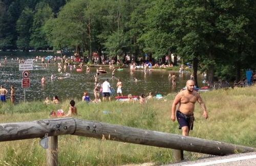 appartement chez Chantal RDC 60m2 GERARDMER - Photo 19