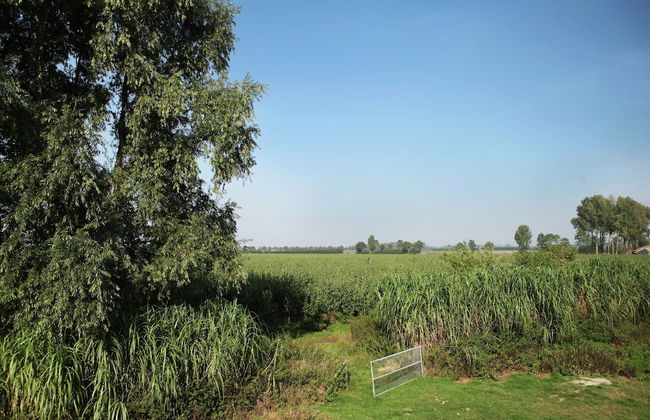 Farmhouse Home in Eede - Foto 35