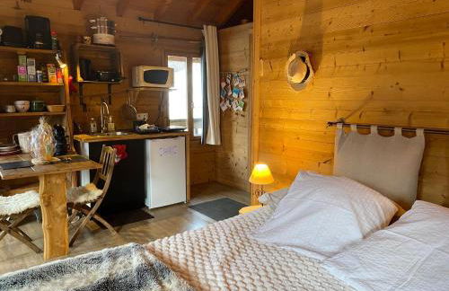 Chalet la Cabane d'Ernestine, petit-déjeuner inclus - Foto 72