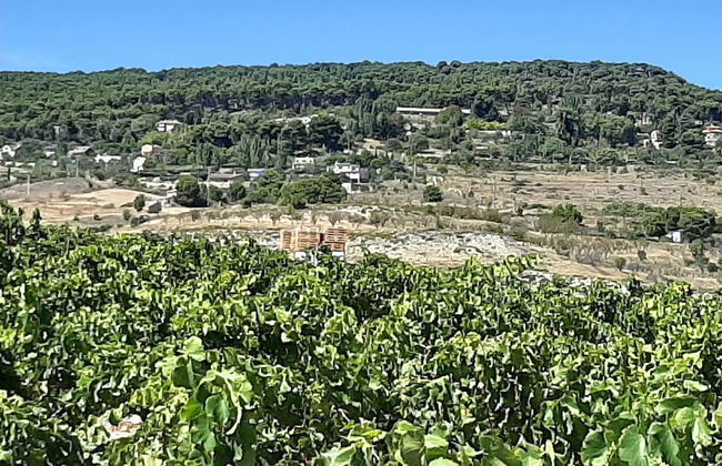 Casa Rural Garnacha de Borja has a Barbacue and Terrace - Foto 47
