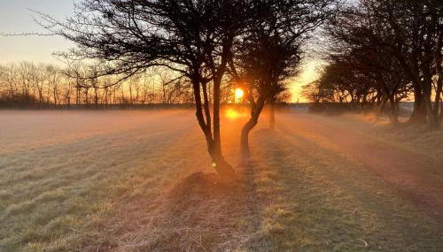 Ferienwohnungen Kapitänskajüte & Ausguck - Foto 4