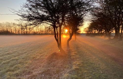 Ferienwohnungen Kapitänskajüte & Ausguck - Foto 4