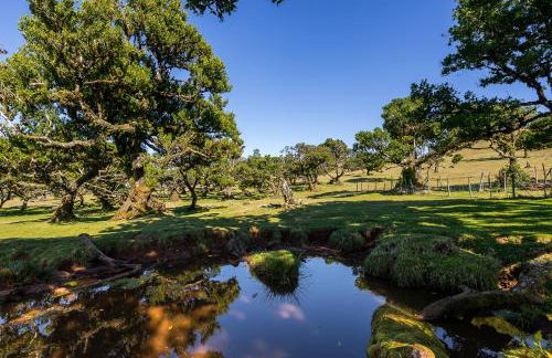 Recanto das Florenças (2) - Photo 52