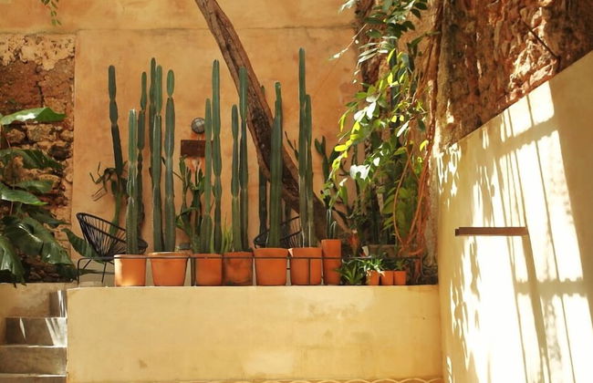 FIXIE LOFTS - Colonial Villa Suites with Pool - Foto 54