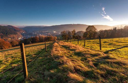 Ferienwohnung Sommerwind - Photo 28