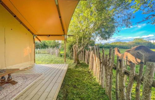 Parc animalier des Clautres - Maison Roulottes Tente - Photo 10