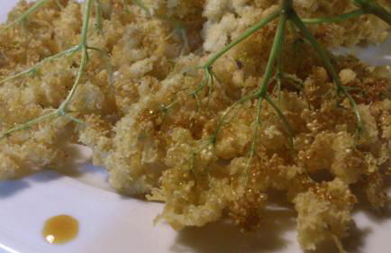 Reitoral de Chandrexa - Foto 10