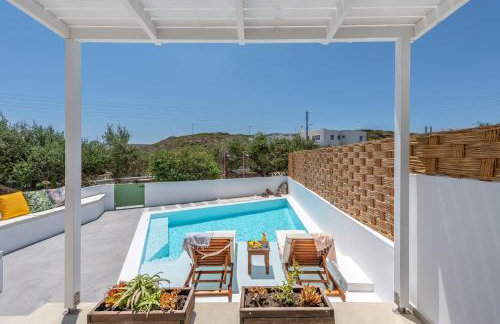 Terra Oliva Milos - Foto 58