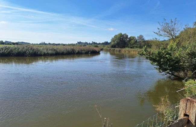 Arundel Cottage Retreat - Foto 5