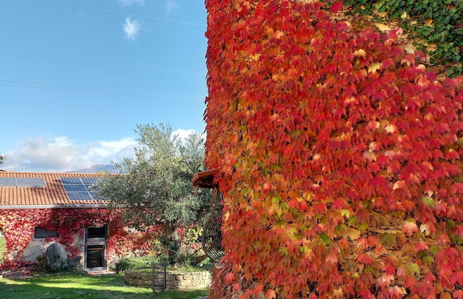 Agriturismo La Petrosa - Foto 80