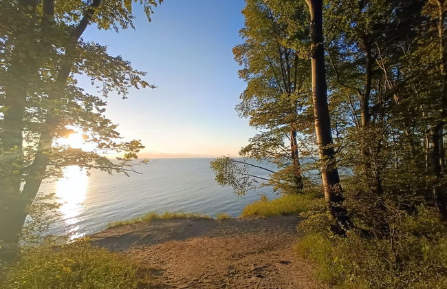 Holiday Complex in Sellin Near Beach - Foto 41