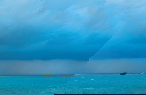 Bird Island Placencia - Foto 19