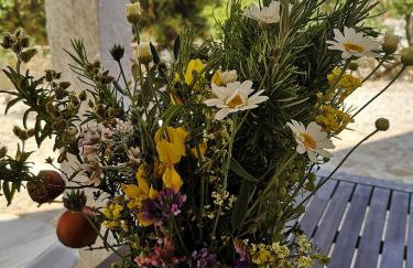 Bijela kuča - Foto 74