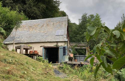 Une nuit en CABANE dans la Forêt - Photo 14