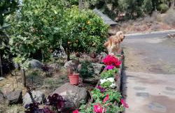 Casa Fagundo - Foto 13