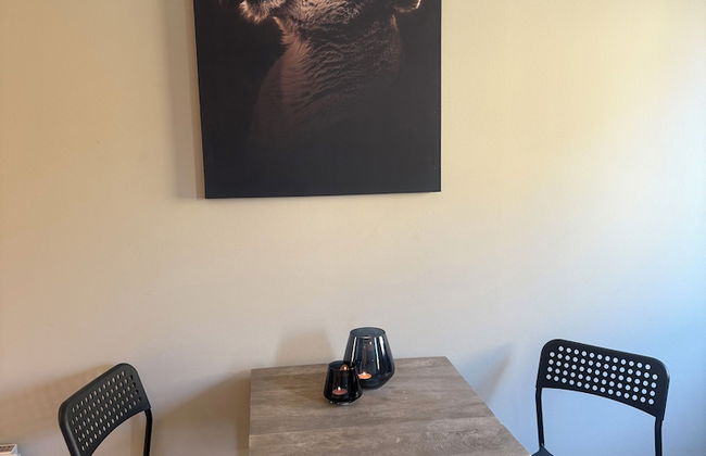 Notodden Sentrum Apartment NO 4 - Photo 16