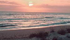 Passione Mare - Foto 5