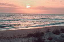 Passione Mare - Foto 5