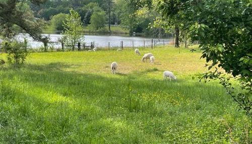 Meadow Farm in Holly Springs, NC - Foto 3