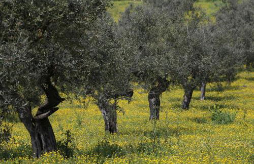 Casa San Martino - Foto 27