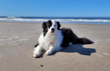 Biggy's Apartment - Foto 42