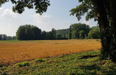 Chalet au Coeur de Foret Gouvieux - Foto 19