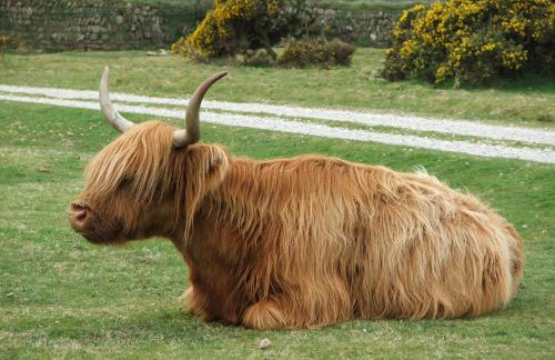 Barn Cottage - Foto 14