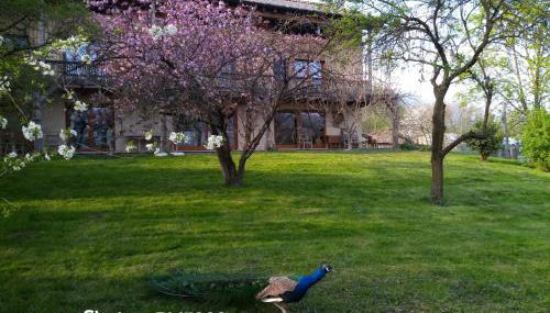 BioAgriturismo Vegan Campo di Cielo - Foto 2, Garden