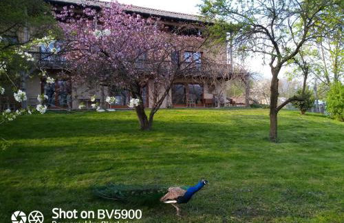 BioAgriturismo Vegan Campo di Cielo - Photo 2