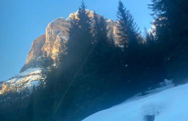 The Grey Lodge at Bosco Verde - Photo 44