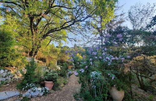 Domaine des Petites Sœurs à 800m du centre historique avec 5200m2 de parc arboré - Foto 12