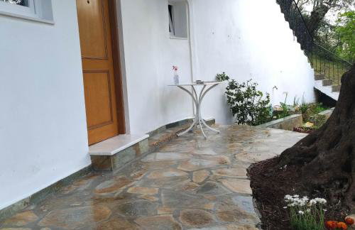 Colors Apartments Pilio - Photo 36