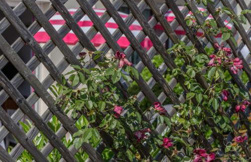 Atlantic Residence - Photo 8