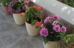 Cozy Apollon Villa, Sea View, Next To Galaxidi - Photo 61