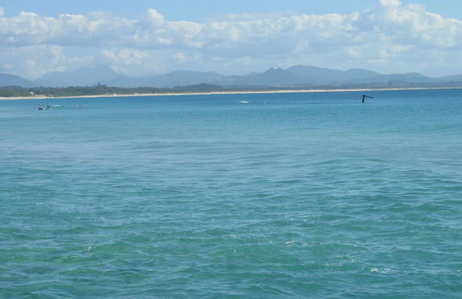 Gecko Shed - Foto 15