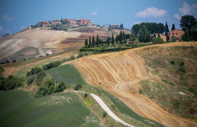 Spacious Tuscan Farmhouse - Foto 37