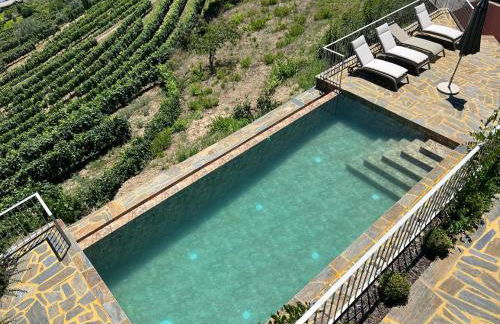 Outeiro Douro House - Photo 6