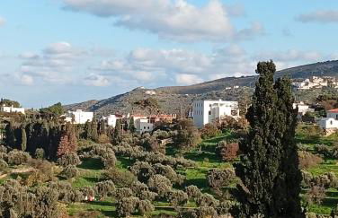 Andros Trecking Paradise Holiday Cottage by "elite" - Foto 31