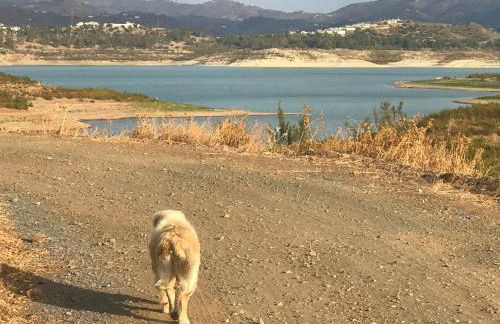 La Rústica en Viñuela, piscina privada - Foto 29
