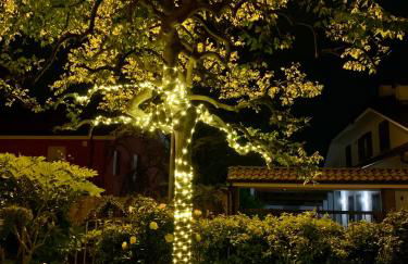 L'angolo verde apartment - Foto 16