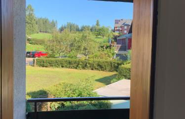 Schwarzwald-Blick Lenzkirch-Saig - Photo 22