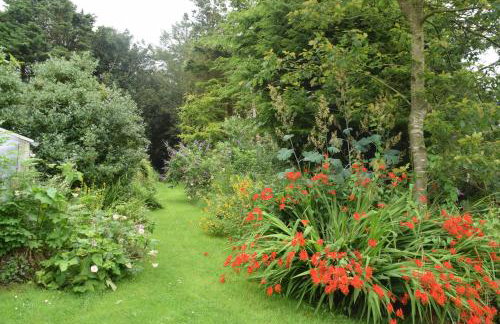 Clonaslee House - Foto 29