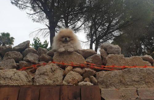 Maravillosa casa con piscina grande y bosque - Photo 42