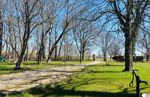 Ferienwohnung Domaene Kermen - Foto 33