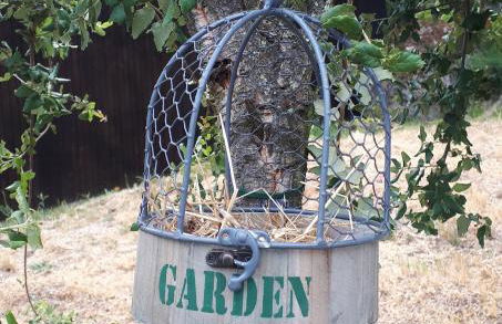 Casinha do Cedro - Foto 14