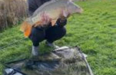 Snug & Secluded Lakeside Shepherds Hut 'Carp' - Foto 23