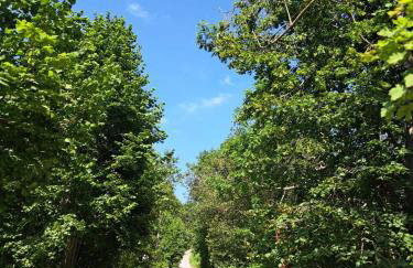 Apartman Barbara - Foto 27