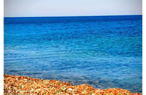 Traditional House 1925 - Foto 21