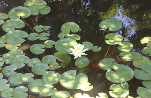 Agriturismo Le terre di zoe' - Foto 65